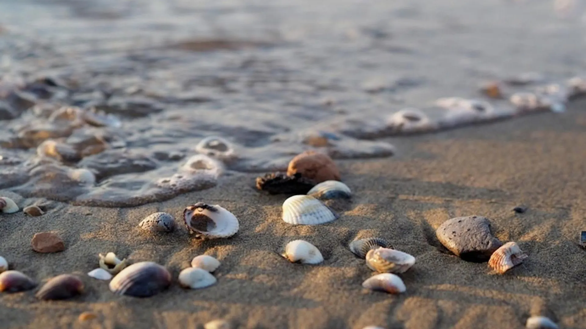 Relaxing Getaway By The Coast Apartment Bibione